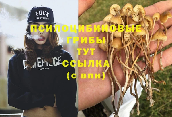 СК Белокуриха
