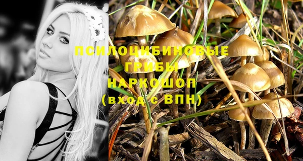 jwh Беломорск